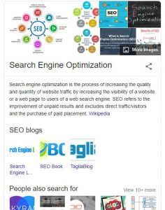 Search Engine Snippet